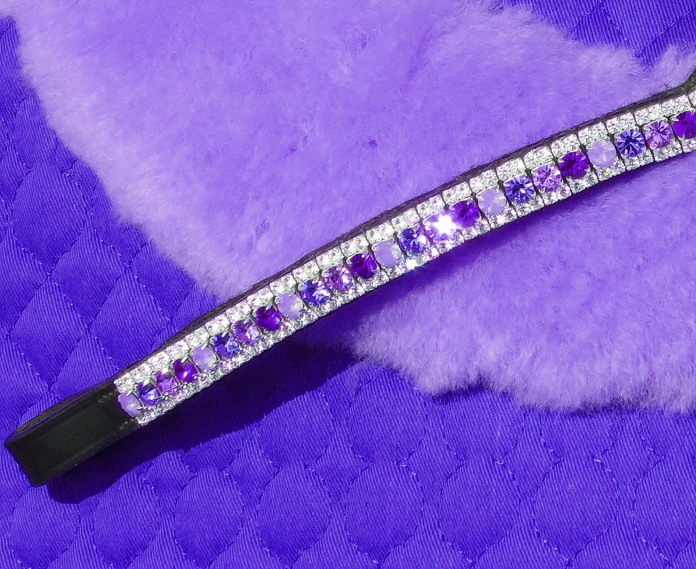 Purple browband