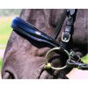 Fss Comfort Padded Shaped Sides Cut-Away Simple Cavesson Noseband Twin Buckle – Patent