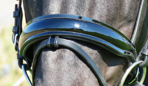 FSS Padded Cut-Out Noseband - Tapered Cavesson With Twin Buckles For Horses