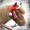 Fluffy Fur Trim Christmas Festive Outfit Fleece Horse One Ear Santa Hat