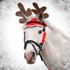 Christmas Festive Outfit Horse RUDOLPH REINDEER ANTLERS Santa Hat Hood Fancy Dress