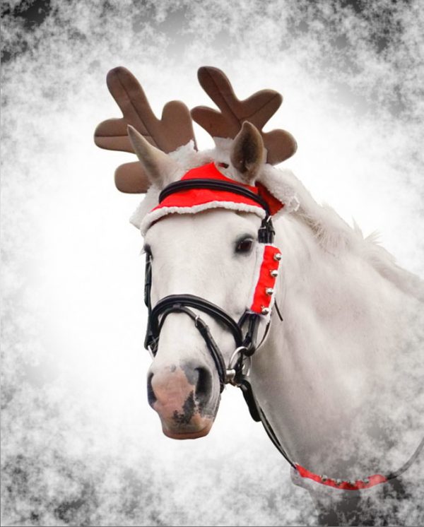 Horse santa outfit