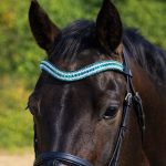 FSSglimmerTealAquaCBB2