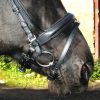 FSS Everyday Comfort Padded Crank Flash Combined Noseband Traditional Strap Over Poll/Headpiece