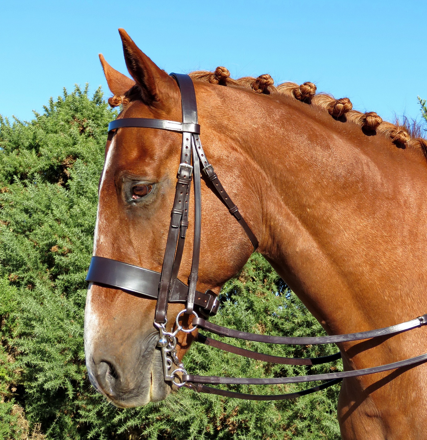 FSS HANDMADE in WALSALL SEDGWICK ENGLISH LEATHER Traditional Working Hunter Show Hunt Bridle Wide Flat 2″ 5cm Noseband